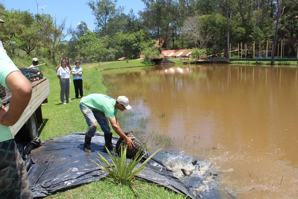 Hotel Fazenda Vista Alegre Sao Lourenco  Exteriér fotografie